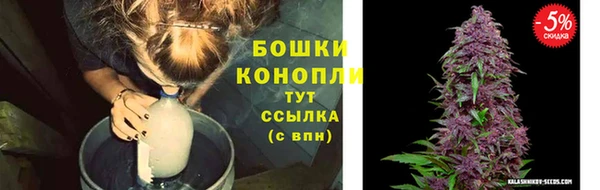 спиды Каменка