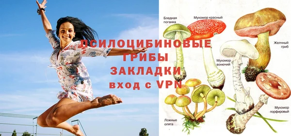 таблы Инта