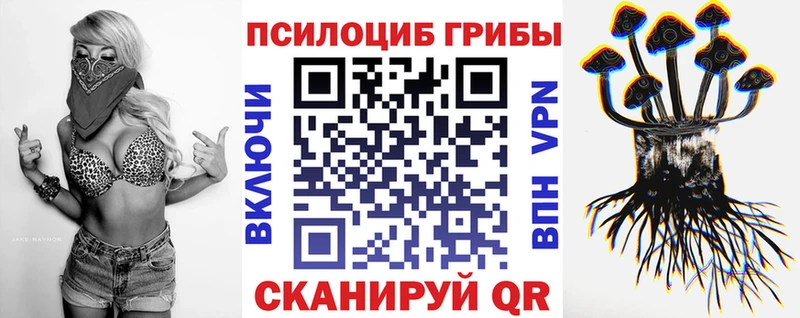Псилоцибиновые грибы Cubensis  Купить  Балахна 